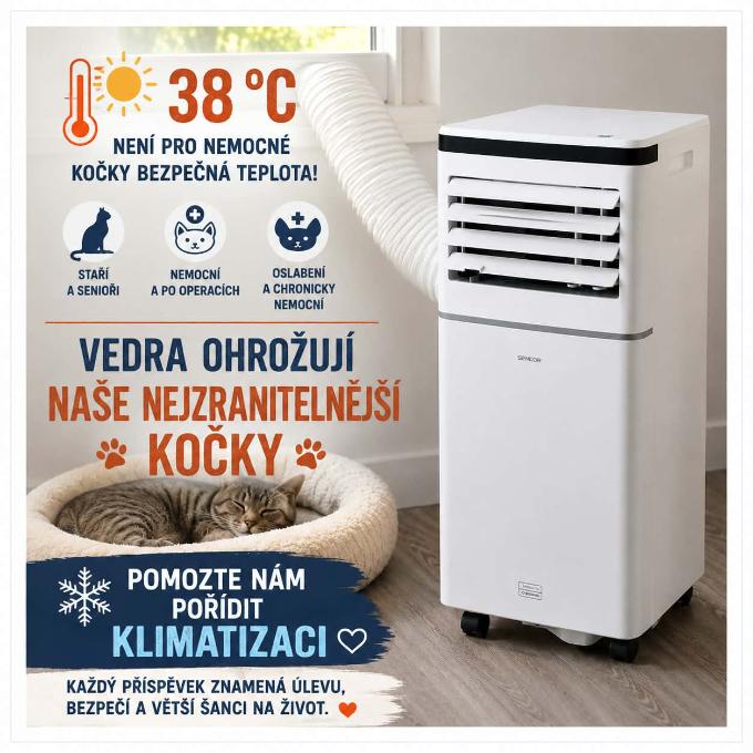 Klimatizace pro naše nemocné a staré kočky