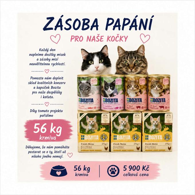 Zásoba papání pro naše kočky 🐾