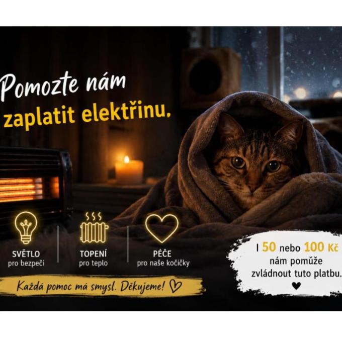 Pomoc s úhradou faktury za elektřinu