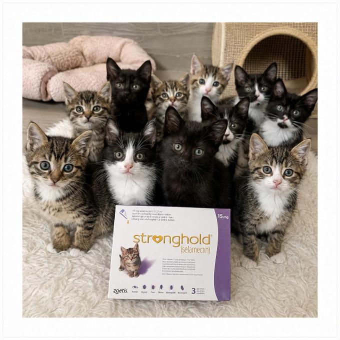 🐾 Kapička, která se u nás nevyhne nikomu 🐾