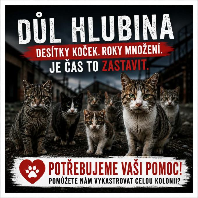 PRVNÍ KASTRACE NA DOLE HLUBINA