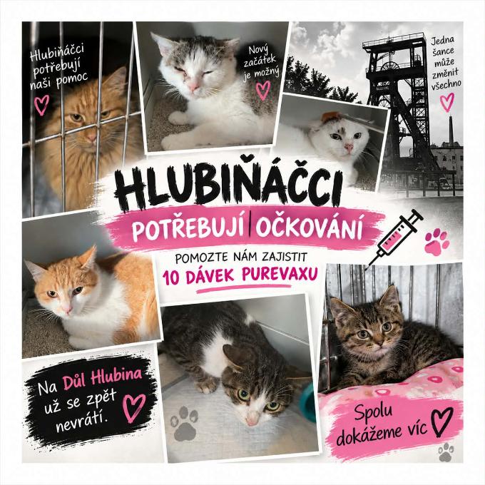 🐾 HLUBINA POKRAČUJE – OČKOVÁNÍ PRO HLUBIŇÁČKY 🐾