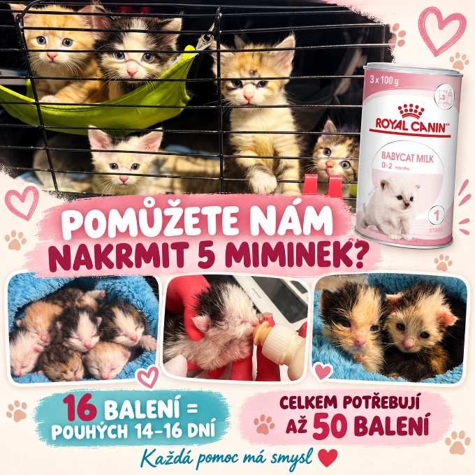 Sunar na 14 dní pro opuštěná miminka