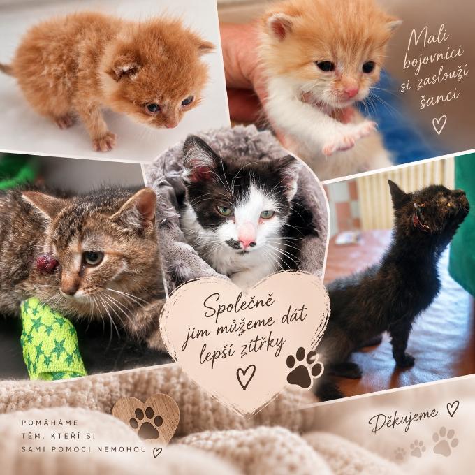 POMOZTE NÁM UHRADIT DLUHY NA VETERINĚ