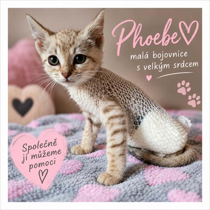 Pomoc pro Pheobe a její sourozence ❤️