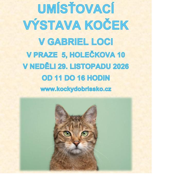 FB reklama na umisťovací výstavu koček
