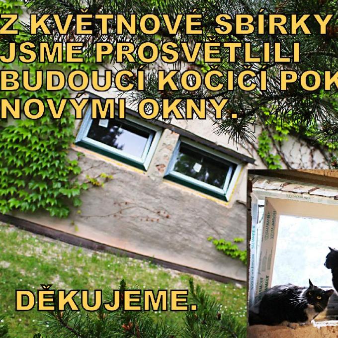 Kočičí podlaží