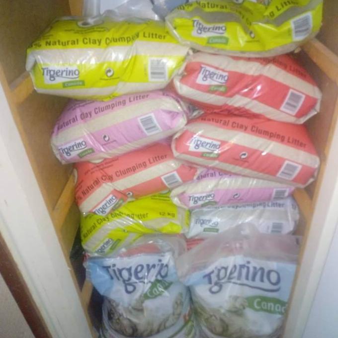 Stále potřebné kočkolítky