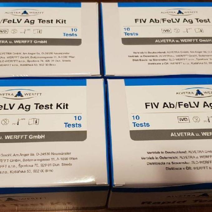 40 testů na FeLV a FIV