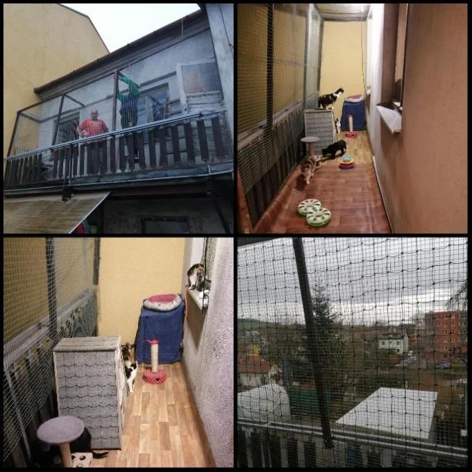 Zasíťování oken a balkonu pro Kočičí dům u Mourečka