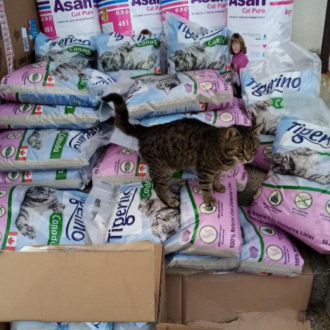 Zásoba steliva pro Šonováčky