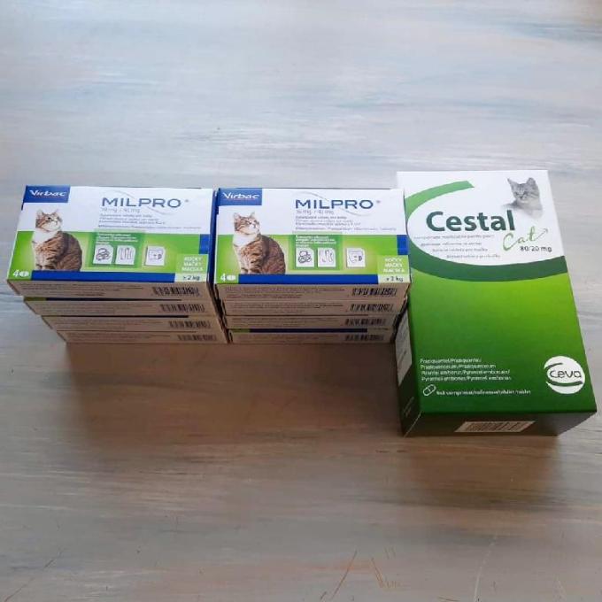 Odčervovací tablety