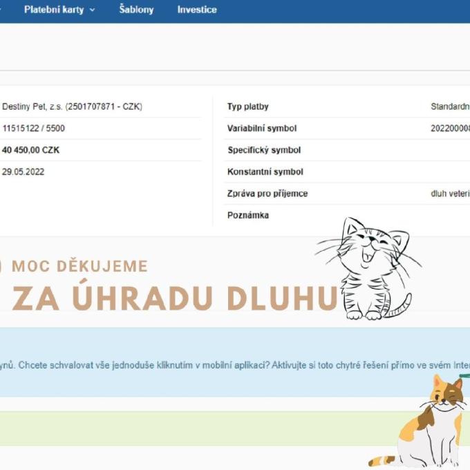 Pomoc s úhradou faktury za veterinární péči