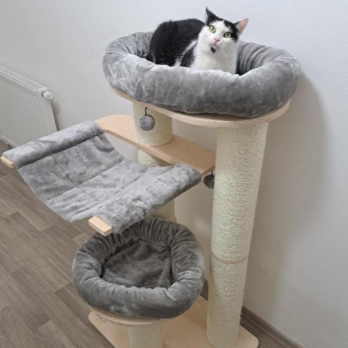 Škrabadlo pro marody