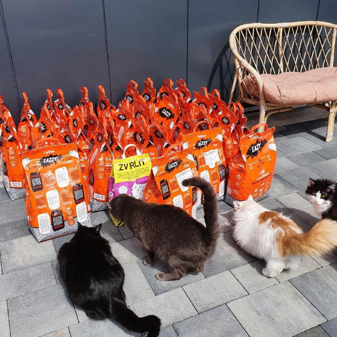 Za čisté záchůdky