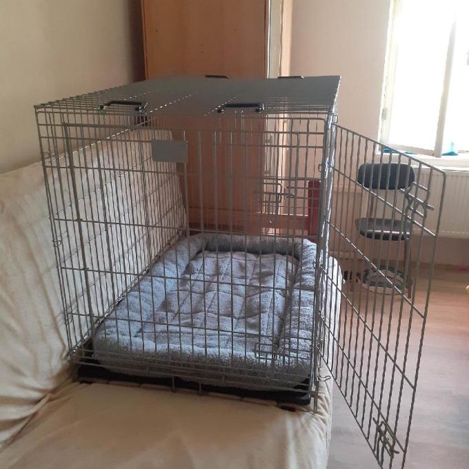 Hospitalizační klec