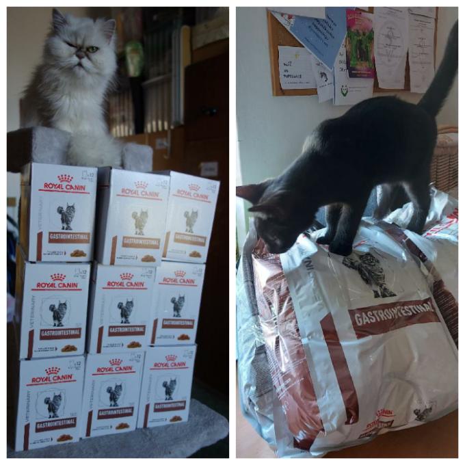 Krmivo Royal Canin Veterinary Feline Gastrointestinal