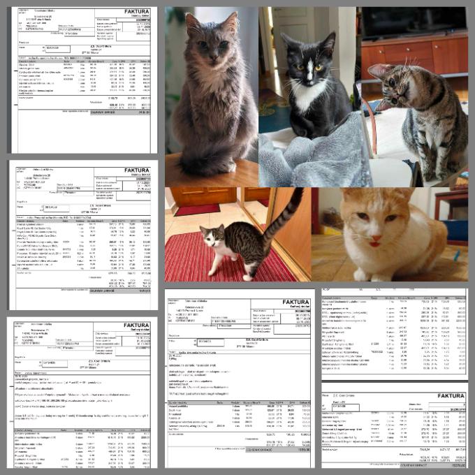 Pomoc s úhradou veterinárních výdajů