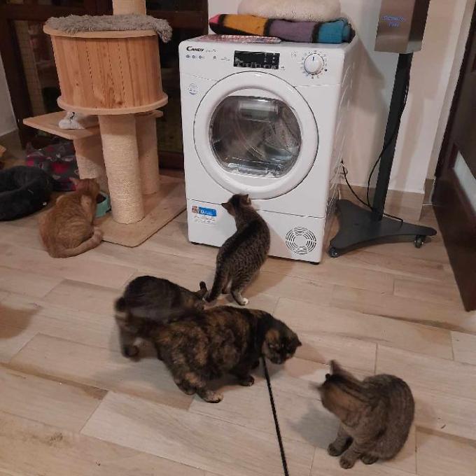 Sušička do Žerovického depozita