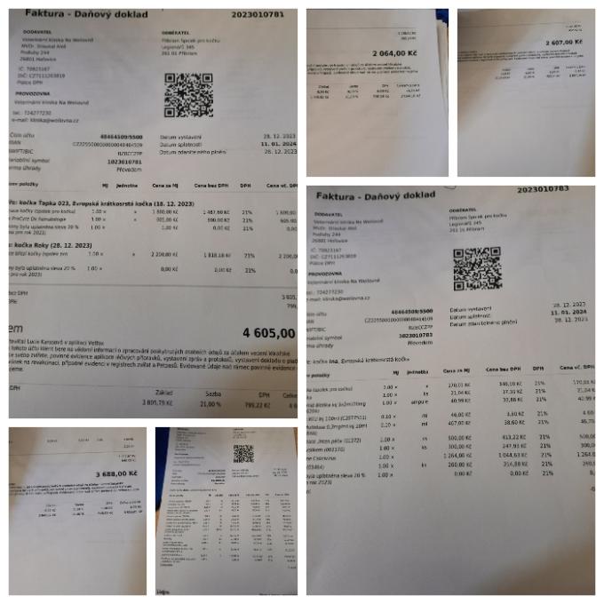 Finance pro léčbu