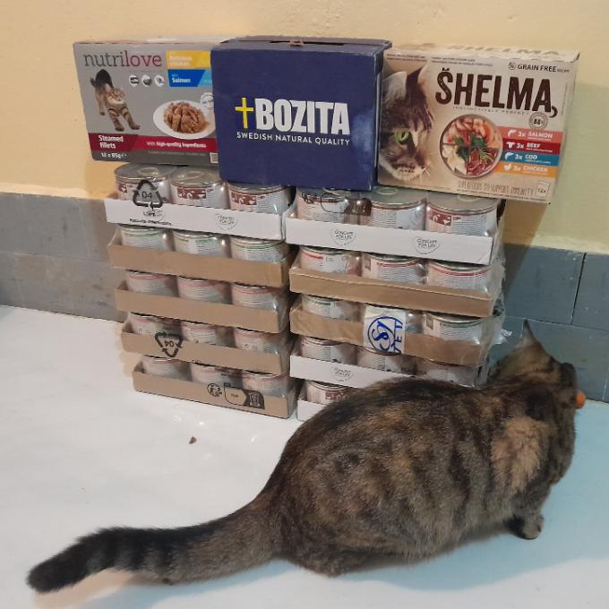 Granule pro koťata
