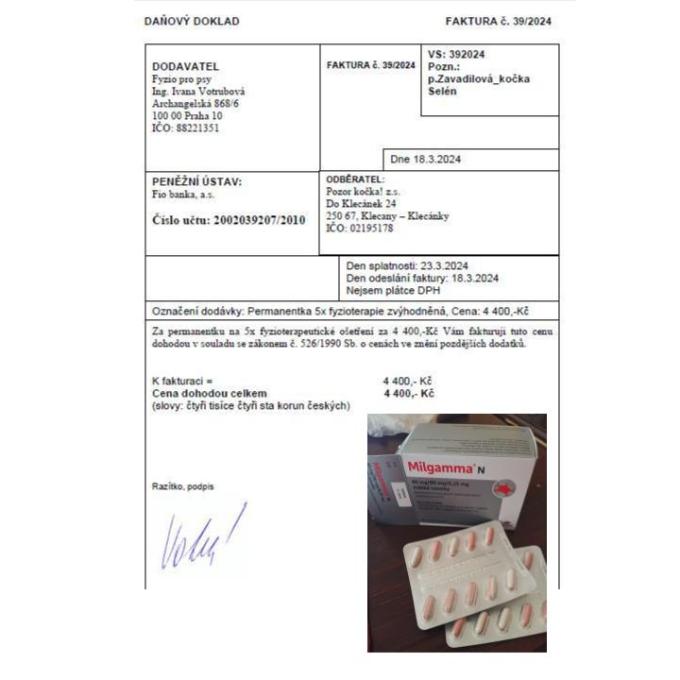 Rehabilitace pro Selén