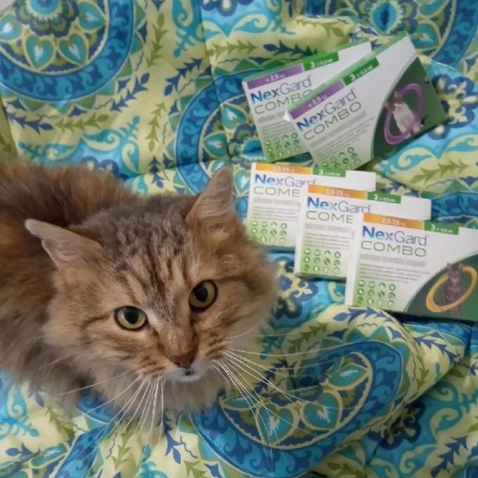 PIPETY NEXGARD COMBO