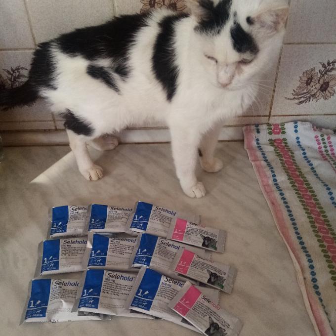 Pipety pro Šonováčky