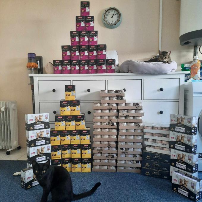 Konzervy pro koťátka