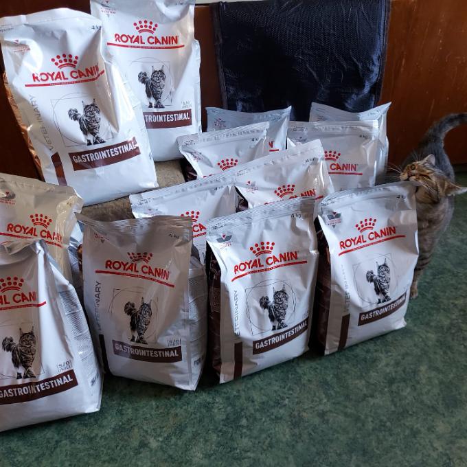 Veterinární dieta pro zdraví koček
