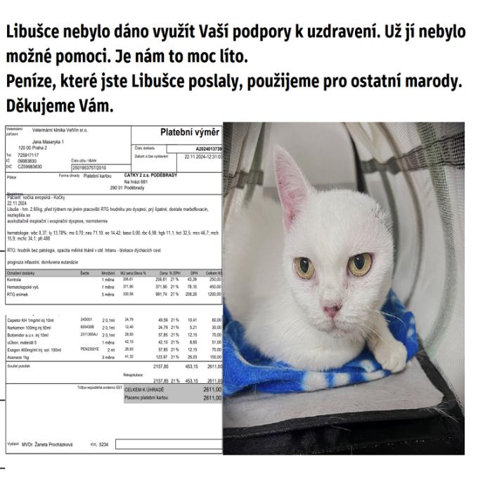Libuše z Libice
