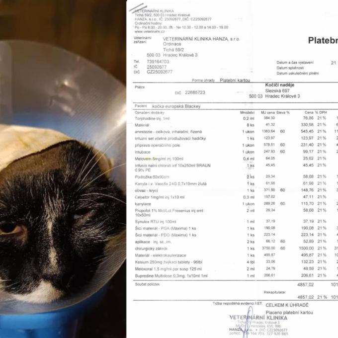 Pomoc s úhradou operace nešťastného Blackeyho