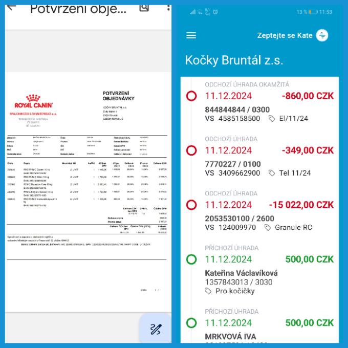 Krmení pro bruntálské kočky