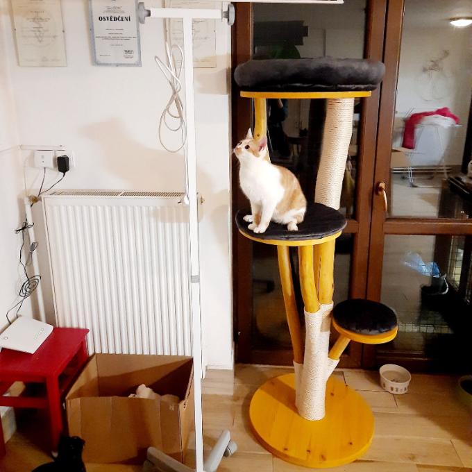 Germicidní lampa do Žerovického depozita