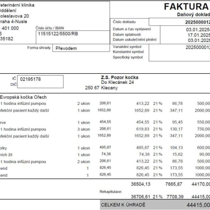Lečba panleukopenie pro Oříška a Aničku