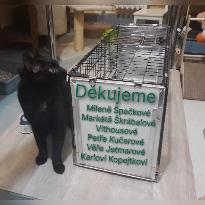 Skládací odchytová klec