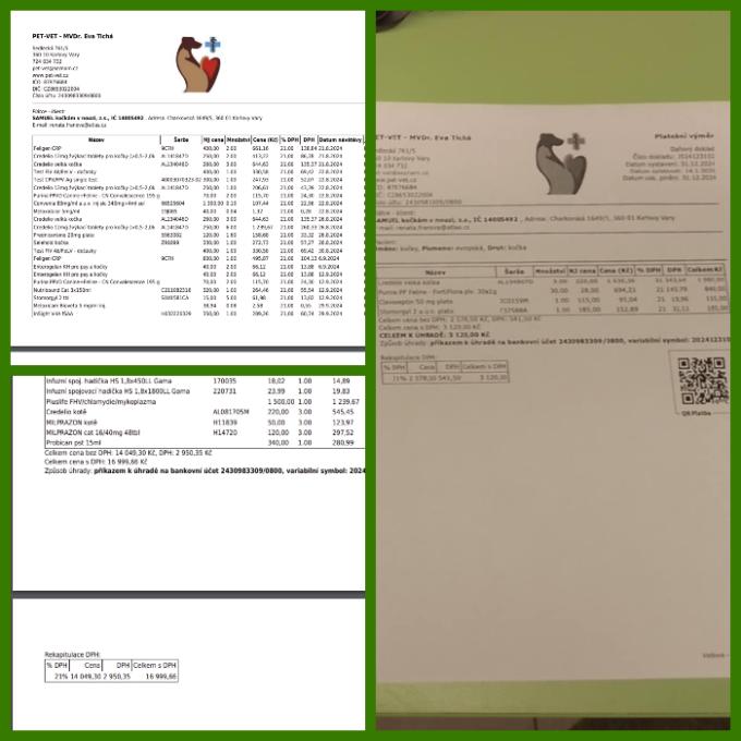 Úhrada veterinární péče pro koťata