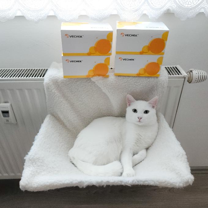20 testů na FeLV a FIV