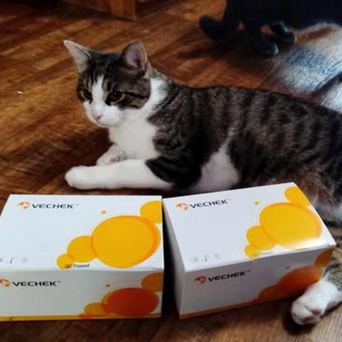20 testů na FeLV a FIV