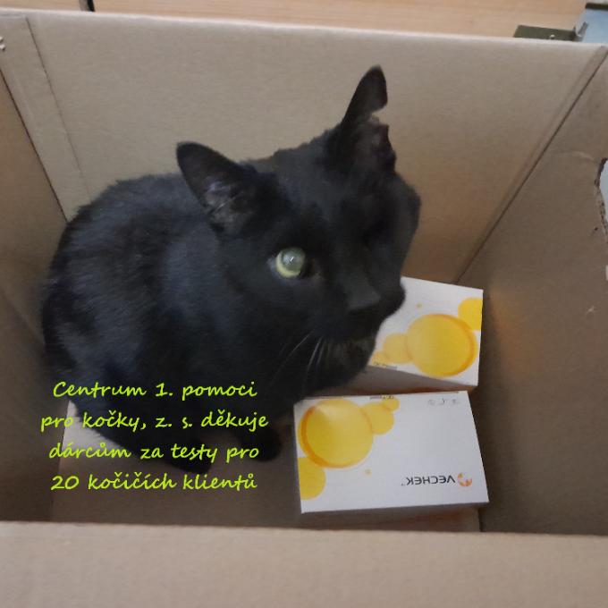20 testů na FeLV a FIV