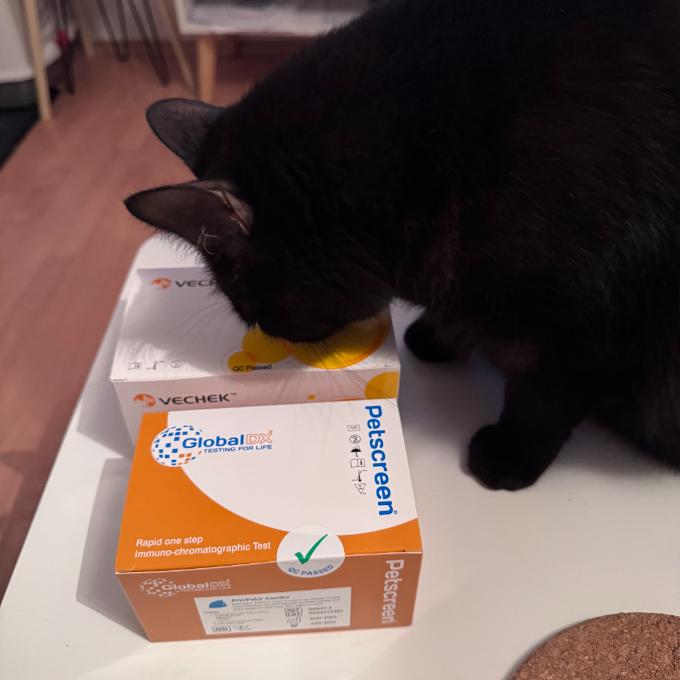 20 testů na FeLV a FIV
