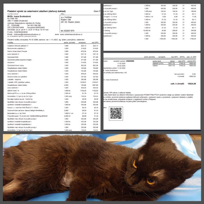 Pomoc se zaplacením faktury