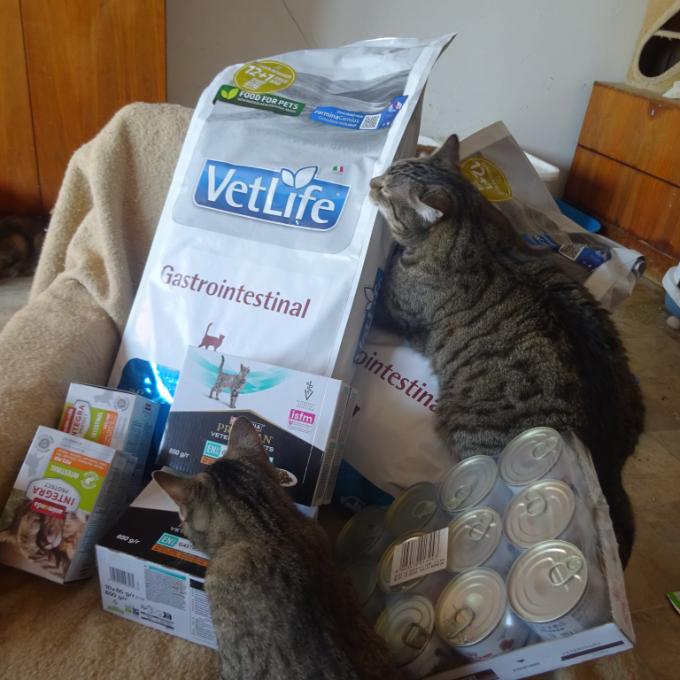 Dietní krmivo a probiotika