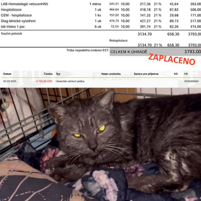 Veterinární péče - Moja