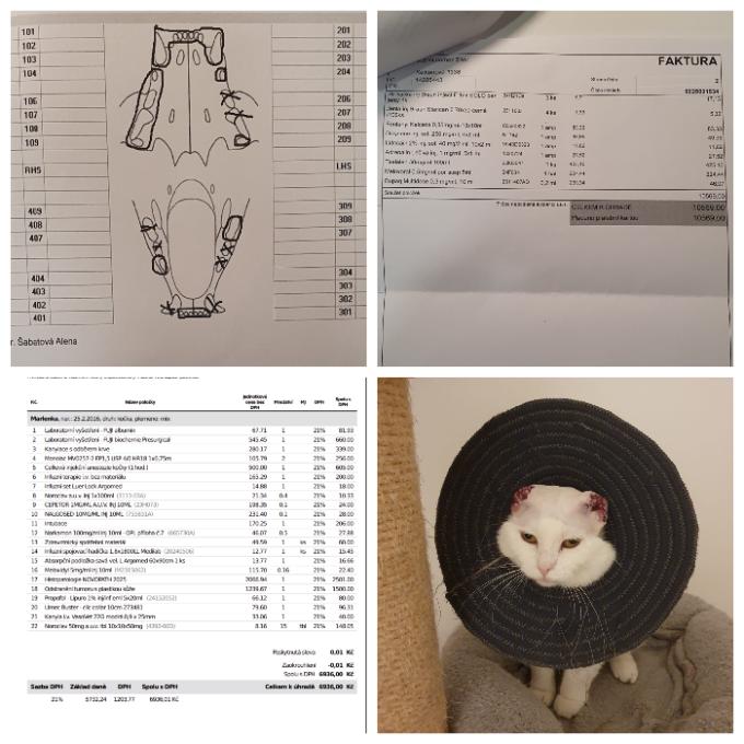 Léčba pro Marlenku