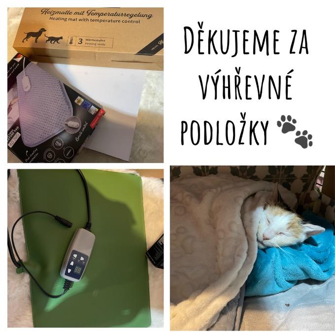 Teplo pro nemocné či malinké kočičky