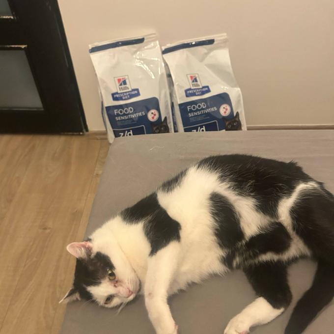 DIETNÍ GRANULE PRO WILLÍKA