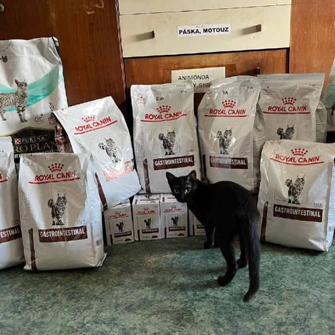 Veterinární dieta pro zdraví koček