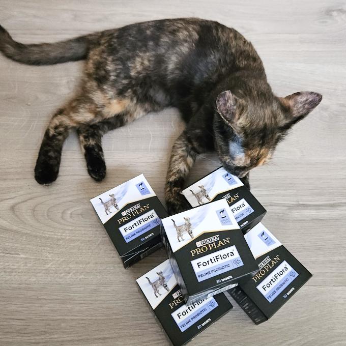 Na bolavá kočičí bříška