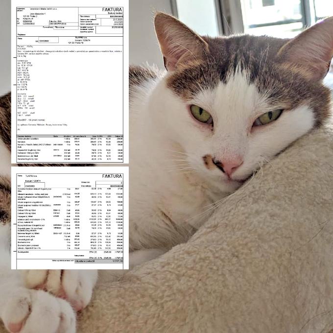 Pomozte Samovi zaplatit operaci zubů